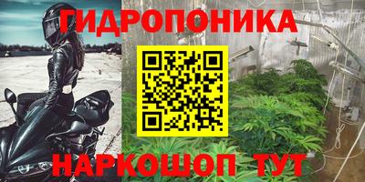 эйфоретик Гусев