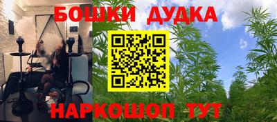 гашик Гусь-Хрустальный