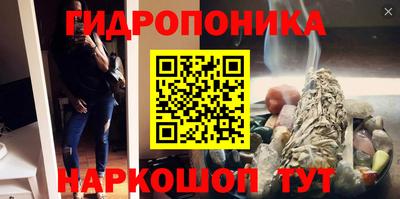 гашик Гусь-Хрустальный