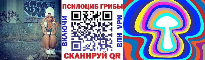 Псилоцибиновые грибы MAGIC MUSHROOMS  маркетплейс клад  Мичуринск 