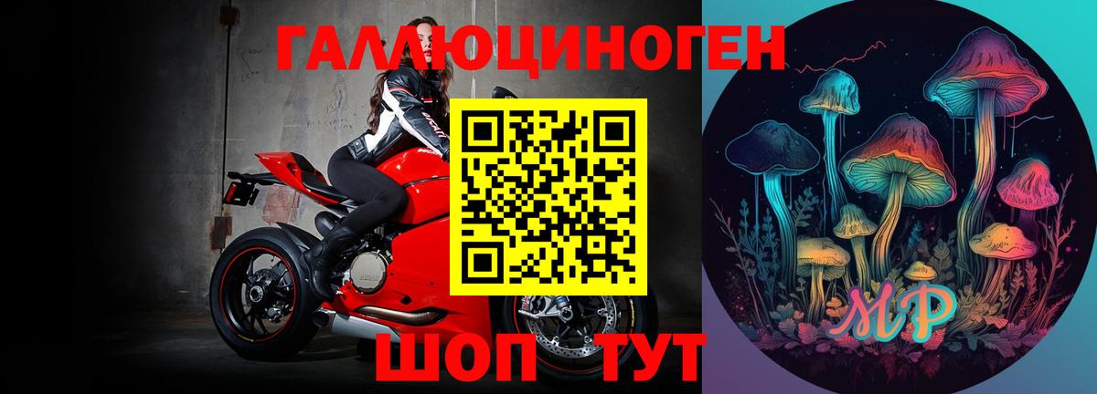 Псилоцибиновые грибы GOLDEN TEACHER  продажа наркотиков  Мичуринск 