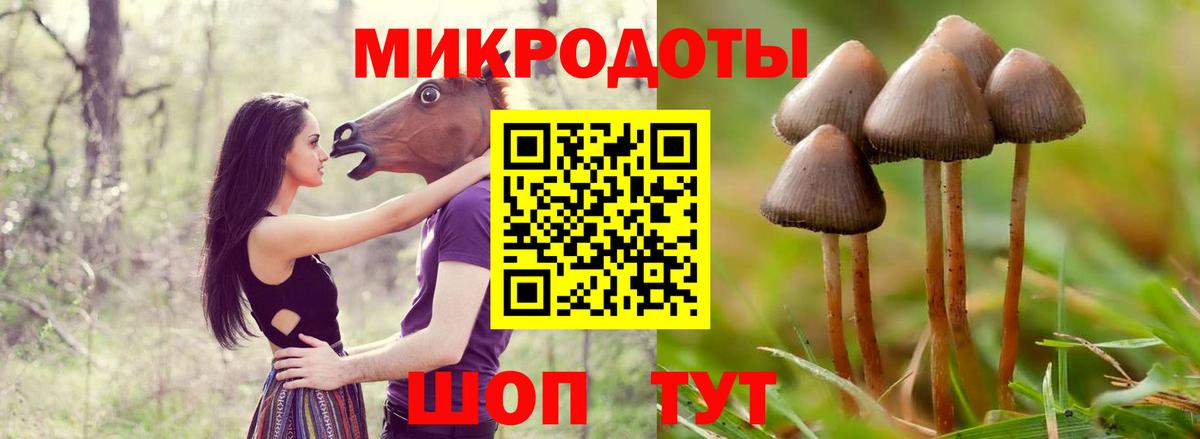 Псилоцибиновые грибы мицелий Мичуринск